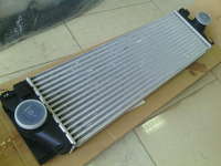 Радиатор охлаждения наддува воздуха интеркулер 2E0145804/ A9065010101 Sprinter Спринтер 06-